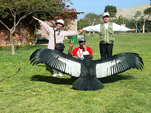 Bellsroom｜鈴木 三枝子の物語