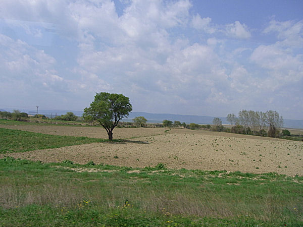 Bellsroom｜鈴木 三枝子の物語