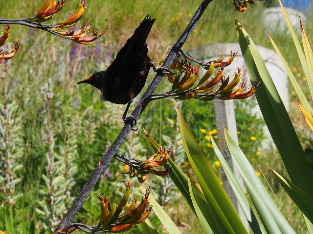 Bellsroom｜鈴木 三枝子の物語