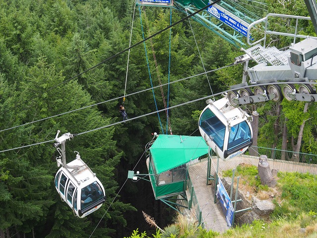 Bellsroom｜鈴木 三枝子の物語