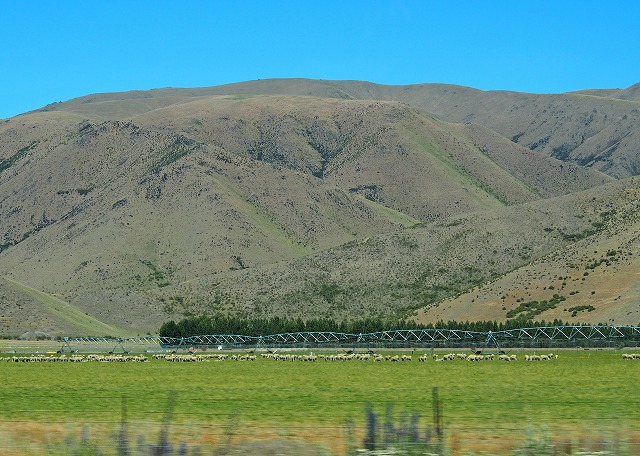 Bellsroom｜鈴木 三枝子の物語