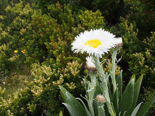 Bellsroom｜鈴木 三枝子の物語