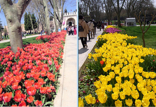 Bellsroom｜鈴木 三枝子の物語