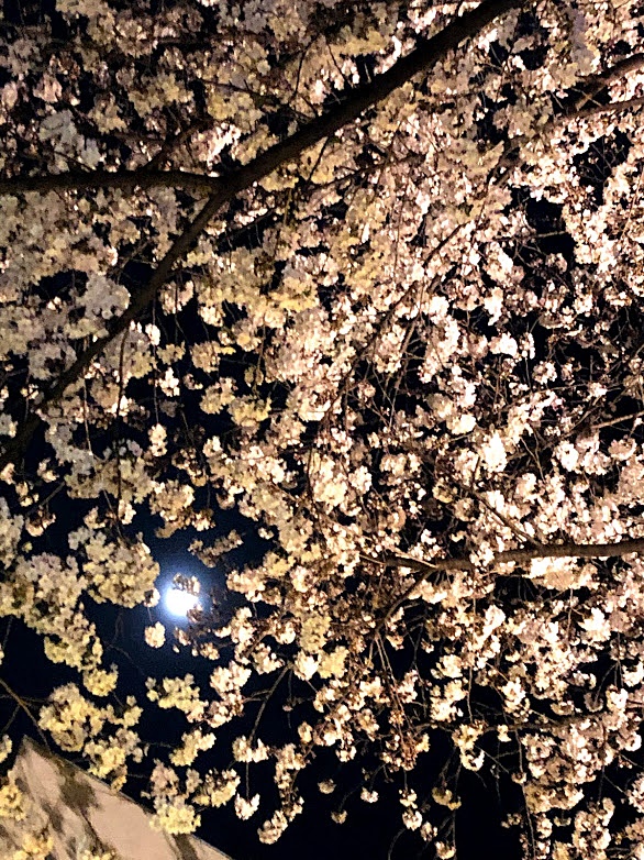 Bellsroom｜鈴木 三枝子の物語